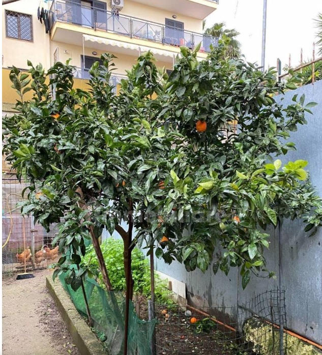Appartamento con giardino- Via Speranza