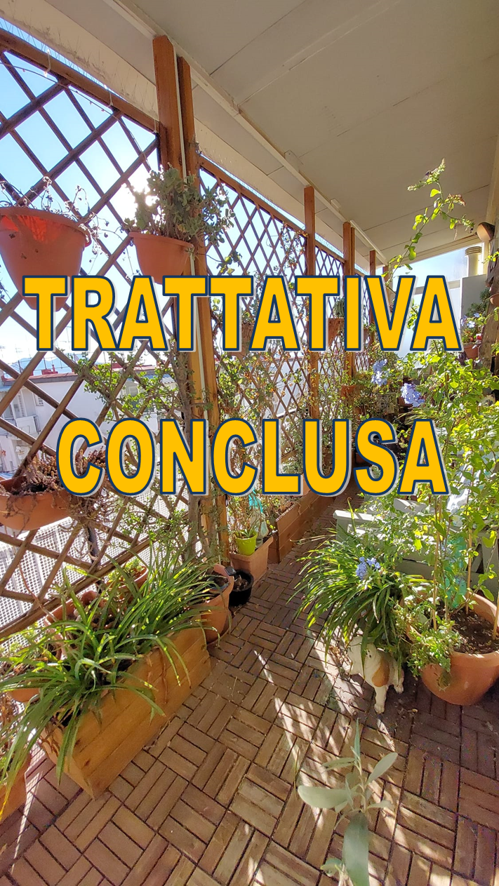 Ampio appto Piano Alto 